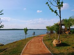 -丁香湖公园