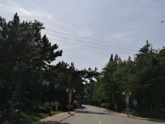 -日照海滨国家森林公园