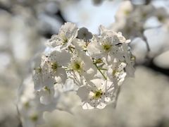 -江苏三台山国家森林公园