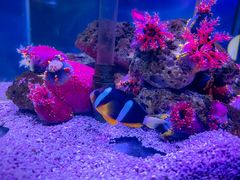 -太平洋海底世界