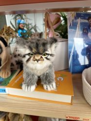 -IMON·HANSA潮玩玩偶毛绒玩具(通州万象汇店)