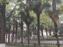 -湖北中医药大学(昙华林校区)