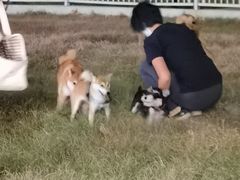 -兰溪小馆(首经贸店)