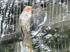 -上海动物园(地铁站)