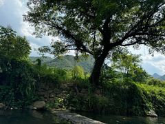 -青云峡漂流