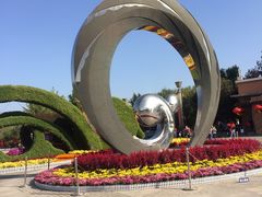 -大兴滨河森林公园