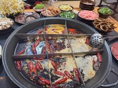 -肥龙火锅(南坪店)