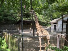 -杭州少年儿童公园