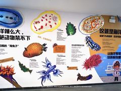 -正佳极地海洋世界