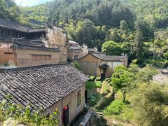 -杨家堂村