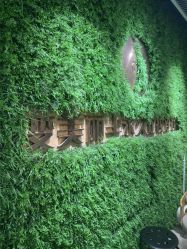 -变美丽半永久纹眉连锁·机器野生眉•洗眉