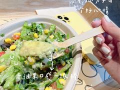 -油梨树AVOCADO TREE(嘉里中心店)