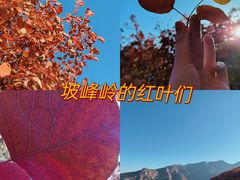 -周口店坡峰岭风景区
