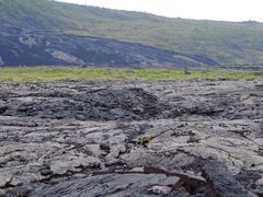 -夏威夷火山国家公园