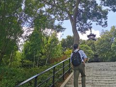 -上海佘山国家森林公园西佘山园