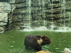 -北京野生动物园