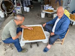 -苏州市吴中区光福窑上花果蜜饯厂