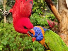 -南宫五洲植物乐园