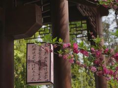 -常德桃花源景区