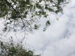 -重庆中央公园(渝北区)