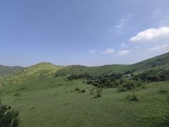-大姆山草场