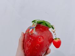 红颜栀己-雅克雅思(南湖东路店)