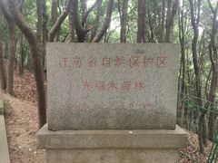 -香雪海