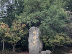 -牛首山文化旅游区