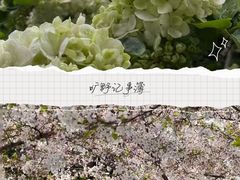 -蠡湖大桥公园