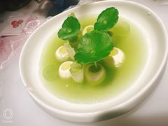 -Tomacado花厨(One ITC店)