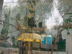 -长春农业博览园