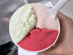 -Dip in Gelato(富民路店)