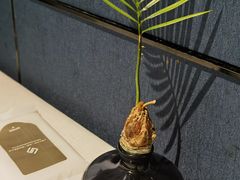 -三利音·玖弄小鲜(浦东嘉里城店)