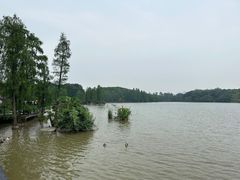 -海珠湖公园