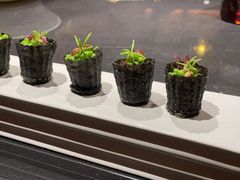 -柒厢食事雅谈