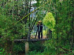-明仕田园