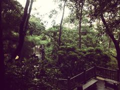 iphone_upload_pic-清源山风景区