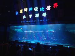 -泉城欧乐堡海洋极地世界