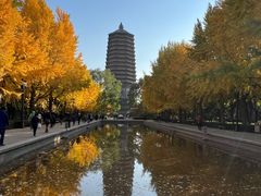 -玲珑塔公园