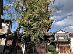 -云南民族村