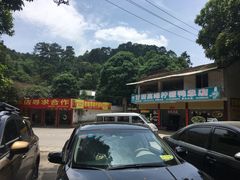 -甘家界柠檬鸭店(高峰林场店)