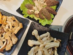 -蘑统田下·野生菌火锅