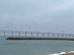 -星海广场