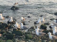 -银沙滩浴场