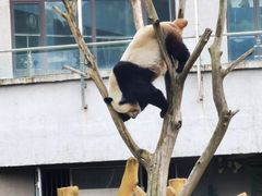 -沈阳森林动物园
