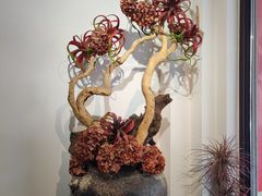 -鹈鹕素食餐厅自助餐部(正阳街店)