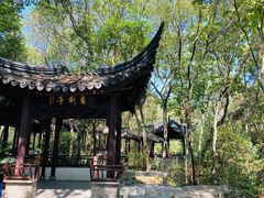 -上海佘山国家森林公园天马山园