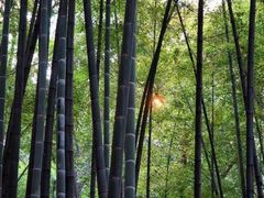 -杭州黄龙洞