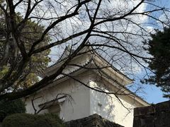 -名古屋城