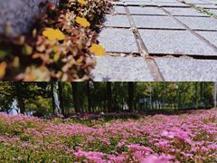 -钟山体育运动公园